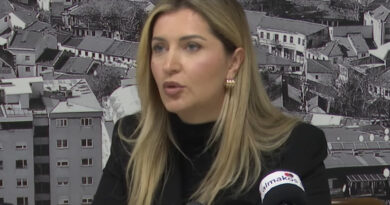 Заменик-министерката Зеколи Шаќири бара правда за прегазениот сопруг, осудениот добил само 7 месеци казна затвор