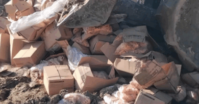 АХВ спречи увоз на над 20 тони небезбеден помфрит