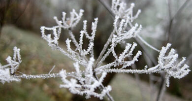 Студено утро, најниска температура измерена во Берово