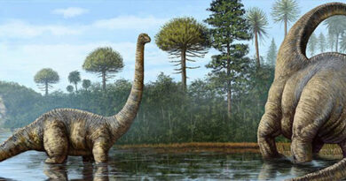 Откриено најголемото наоѓалиште на диносауруси во светот