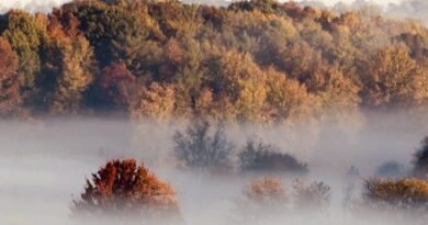 Сончево и релативно топло со магла во утринските часови