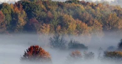 Сончево и релативно топло со магла во утринските часови