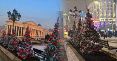 Само неколку дена по поставувањето на украсите, плоштадот остана без елка, а макетата е уништена