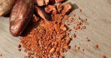 Чоколадото исчезнува: Научниците предупредуваат за крај на какаото до 2050 година