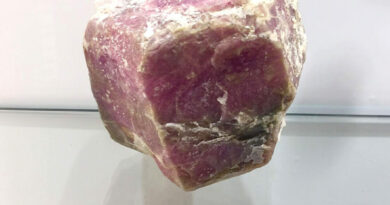 Македонскиот рубин: од локален бисер до национално богатство