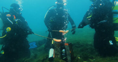 Запален василичарскиот оган во водите на Охридското Езеро