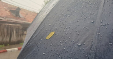 До петок стабилно, суво и потопло време, за викендот дожд и снег