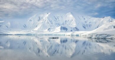 Нова мапа открива скриен свет под мразот на Антарктикот