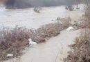 Во Струмичко, надојдена вода однесе од штала 120 јагниња и 100 овци