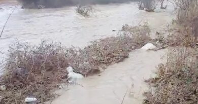 Во Струмичко, надојдена вода однесе од штала 120 јагниња и 100 овци