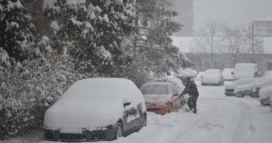Работењето 15 минути во место зиме наутро го уништува моторот на новите автомобили