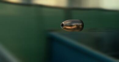 10годишно девојче повредено од заталкан куршум во Скопје