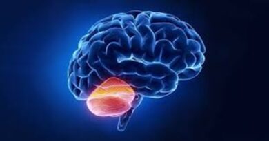 Шокантни информации: Човечки мозоци од Македонија користени за истражувањата на Епштајн во САД