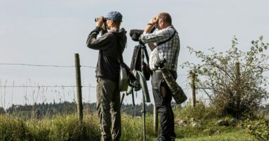 Студија: Луѓето кои се занимаваат со едно старомодно хоби обично водат помирен живот