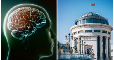 Дали било законско и етички – Обвинителството отвори предмет за извозот на мозочни ткива од земјава