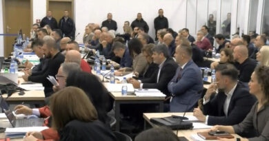 Пожарникарите стигнале на местото на пожарот во дискотеката Пулс пет минути по дојавата, имало многу заглавени лица