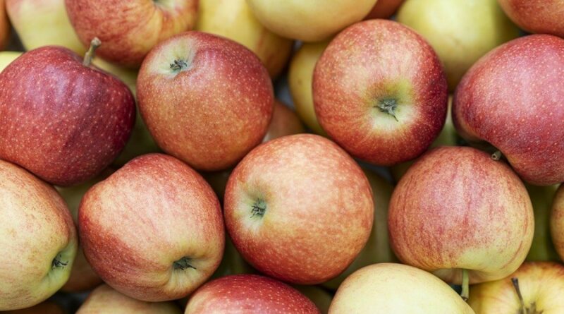 Отровни јаболка во Европа: Повеќето од нив се контаминирани со пестициди, дури 7 хемикалии на секое овошје!