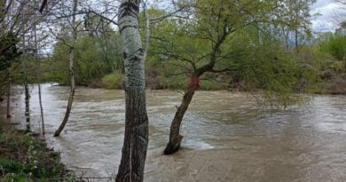 Евакуирани 180 лица од поплавени куќи во Кичево, во Беловиште заглавени две деца со мајка