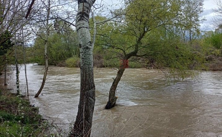 Евакуирани 180 лица од поплавени куќи во Кичево, во Беловиште заглавени две деца со мајка