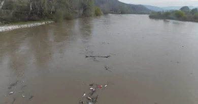 ЦУК: Нема нови излевања и поплави, нивото на реките и водотеците е во континуирано намалување