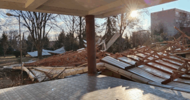 Паднати дрвја, искинати кабли, оштетени возила – Ова е состојбата по силниот ветер