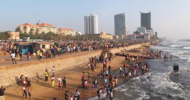 Ниту Шведска, ниту Норвешка: Ова е најдобрата земја за живеење со семејство