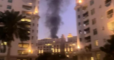 ВИДЕО: Нов бран напади: Погоден хотел во Дубаи