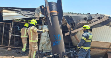 Откриени нови детали за соборената иранска ракета: Турција не била целта?