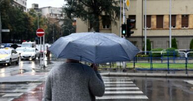 Нема бура да коси, но цел ден ќе роси: утрото денеска ќе биде студено, а денот умерено топол