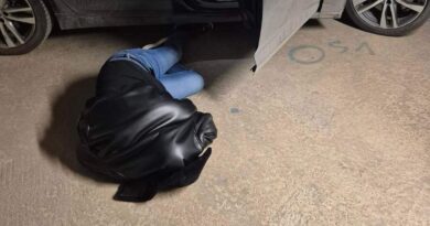 МВР вечерва апси актуелен директор, примал мито, завршил со лисици