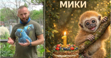 „Правевме роденден за Мики, пола подароци му ги украдоа гостите“ – Војо за невкусен настан во Зоолошка