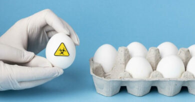 АХВ спречи нелегален увоз: уништени над 40 тони нелегални јајца од Србија