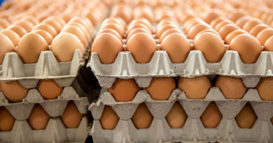 АХВ со засилени контроли во пресрет на велигденските празници