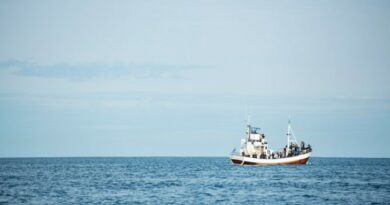 Научници открија над 110 нови видови риби во Коралното Море кај Австралија