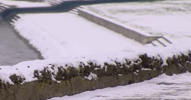 Снег низ Македонија – АМСМ предупредува за условите на патиштата