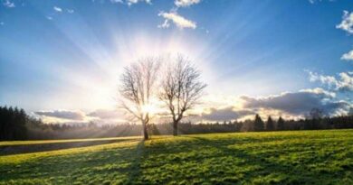 И денеска топло пролетно време, од утре пак дожд