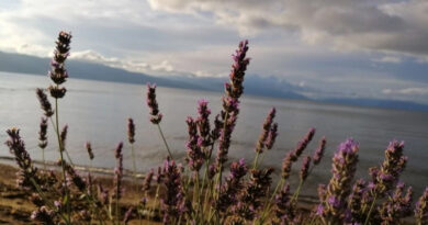 Променливо облачно со повремени локални врнежи од дожд