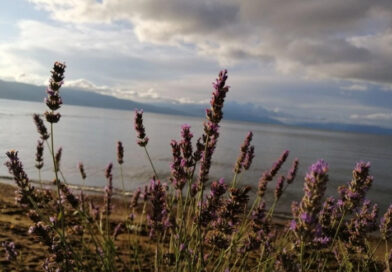 Променливо облачно со повремени локални врнежи од дожд