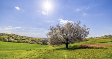 Од денеска затоплување, но ќе дува и северен ветер