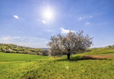 Од денеска затоплување, но ќе дува и северен ветер