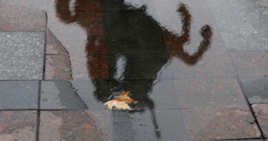 Сончево и топло време денес, од утре до крајот на неделата дожд