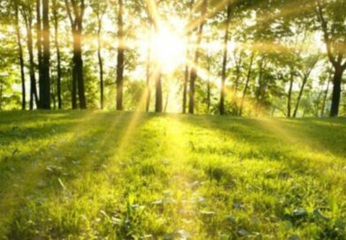 Сончево и топло утро, попладне повремен дожд и грмежи