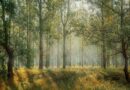 Новиот Закон за природа предвидува интервентни тимови за диви животни и прифатилиште
