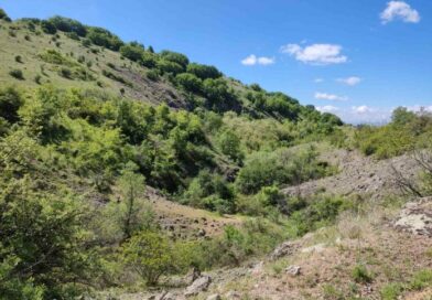 Вториот тендер е последна шанса да се изгради регионалната депонија во Свети Николе, пред да пропаднат парите од ЕУ