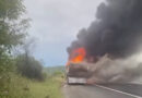 ВИДЕО: Се запали автобус на автопатот Велес-Скопје, патниците бегале