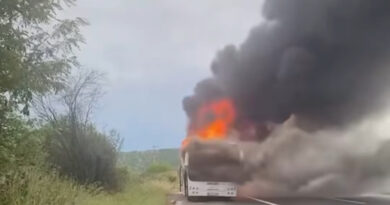 ВИДЕО: Се запали автобус на автопатот Велес-Скопје, патниците бегале
