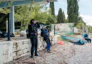 80 нуркачи го чистеа дното на Охридското Езеро што го загадуваат луѓето