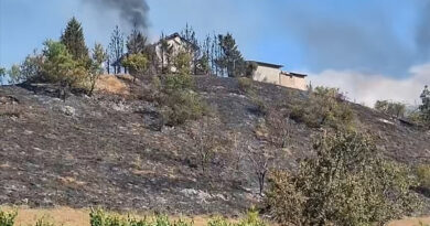 (ВИДЕО) Нов голем пожар беснее кај штипско Ново Село — горат куќи и лозја