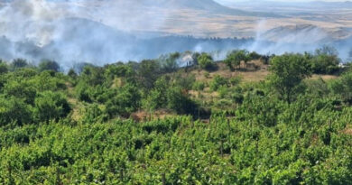 Стабилна е состојбата на штипјанецот кој вчера се здоби со изгореници од втор степен гаснејќи пожар во неговата викендица