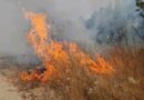 Пиромани го подметнале пожарот во Штип – се трага по две лица